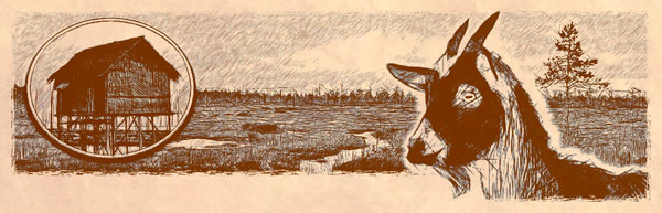 Родная деревня Спаски на Выморочных землях