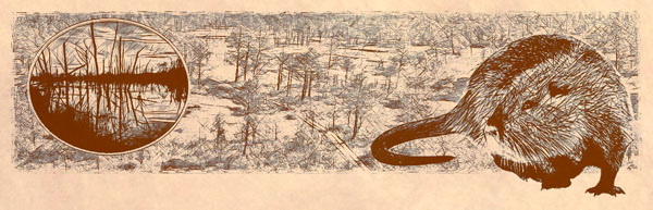 Болота Млчаны