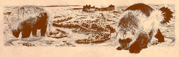 Цитадель и Змеючий Гребень