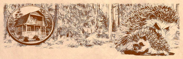 Дачный домик для Грады Горена